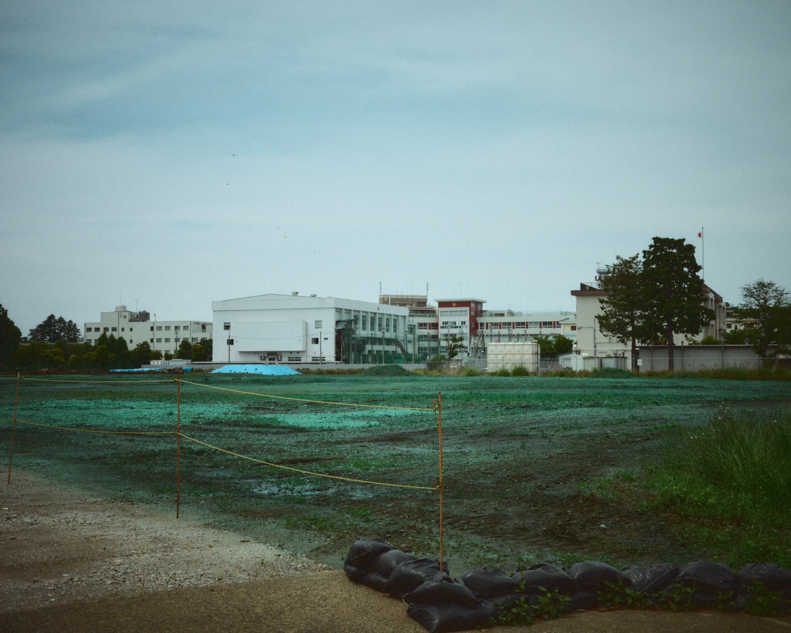 chemical green