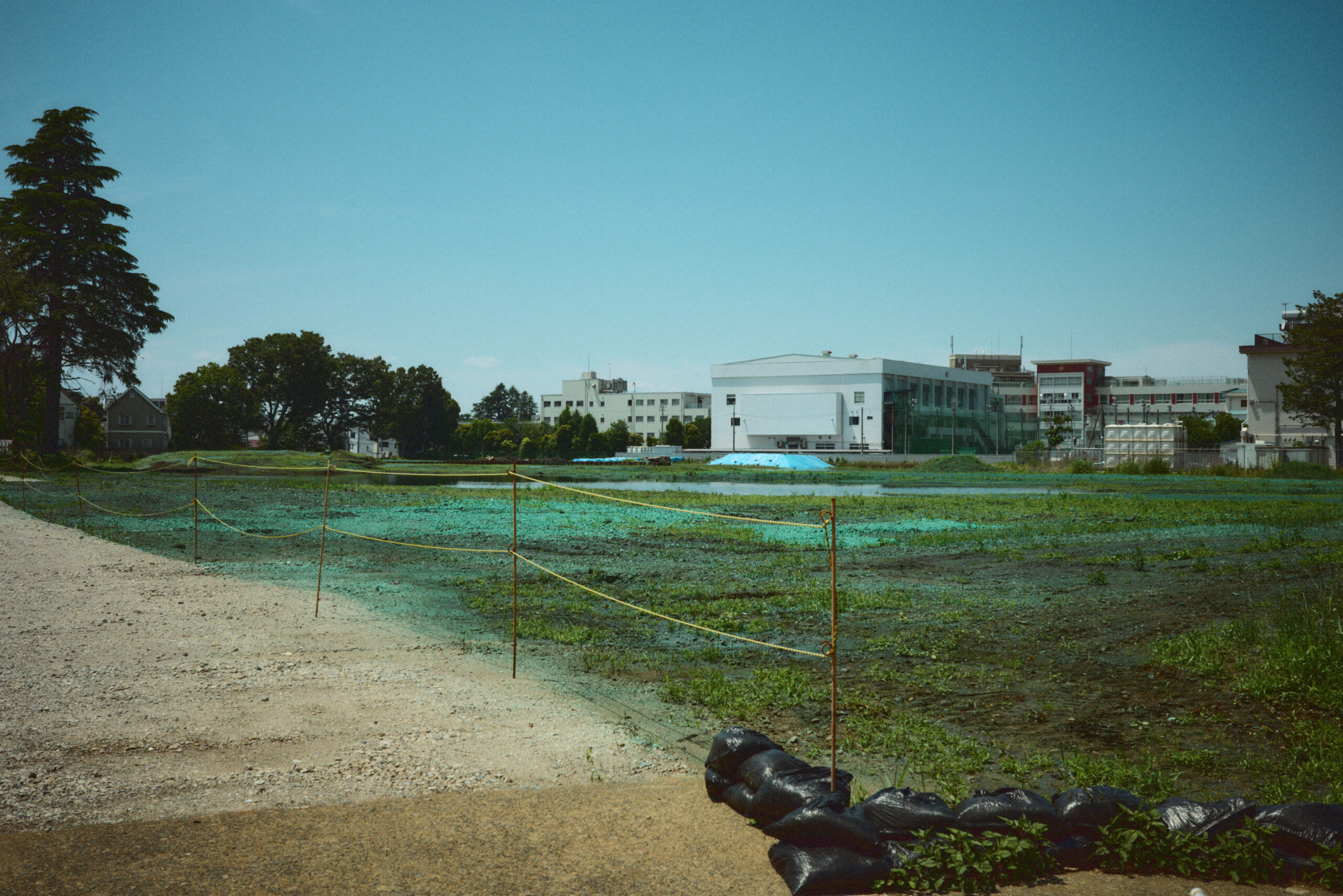 chemical green