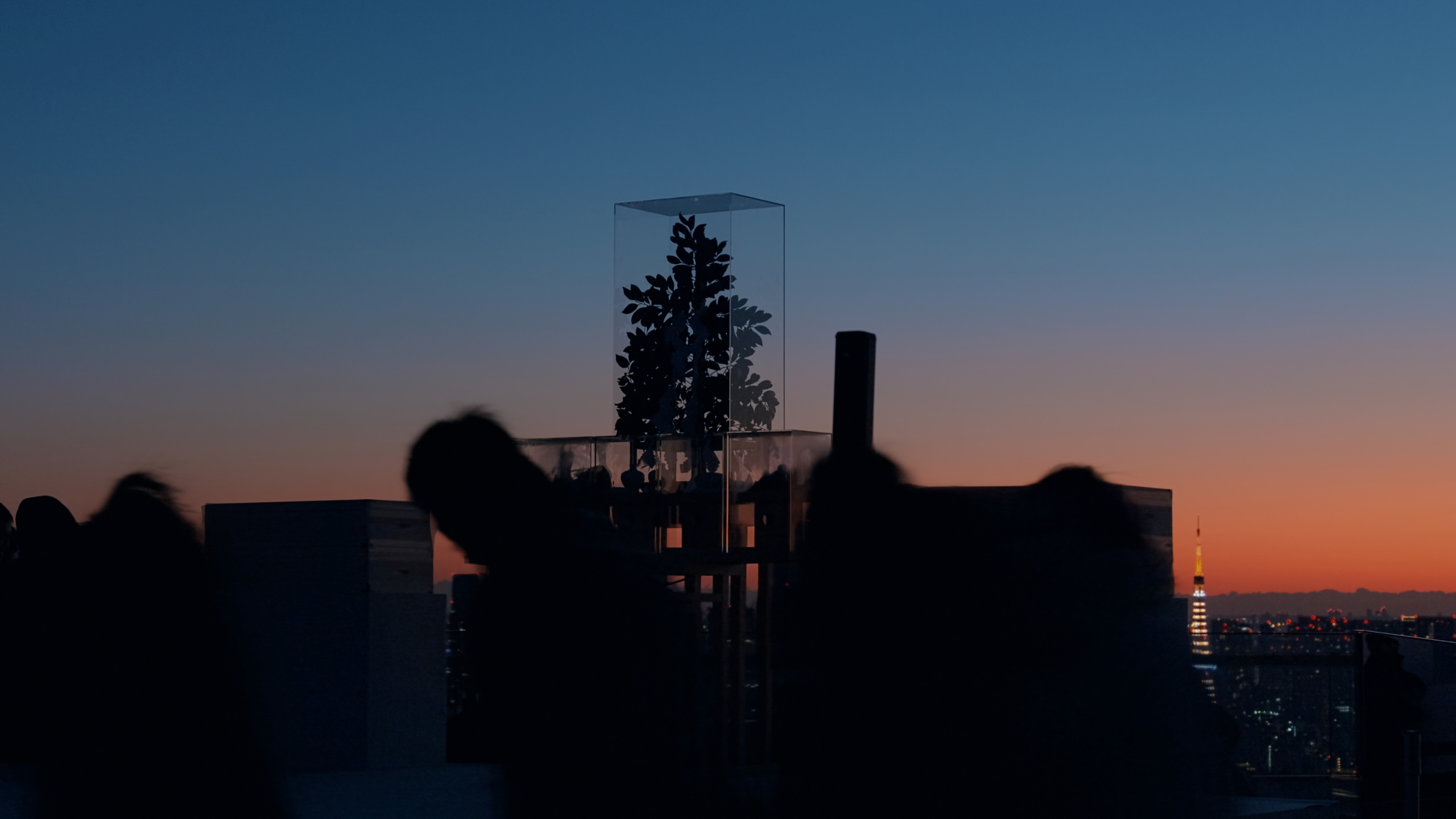 SUNRISE 2025
